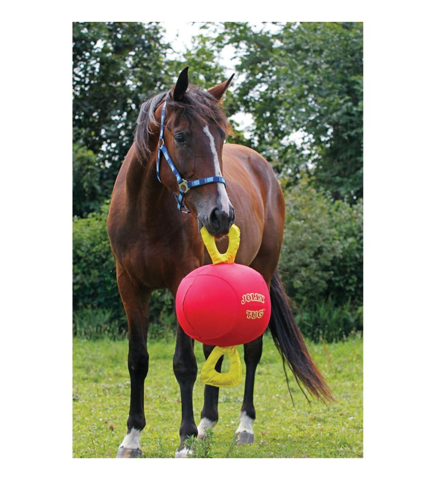 Signature Horsemen's Pride 14-Inch Horse Jolly Tug Blue one size - Buy Online on SooperMarket.com