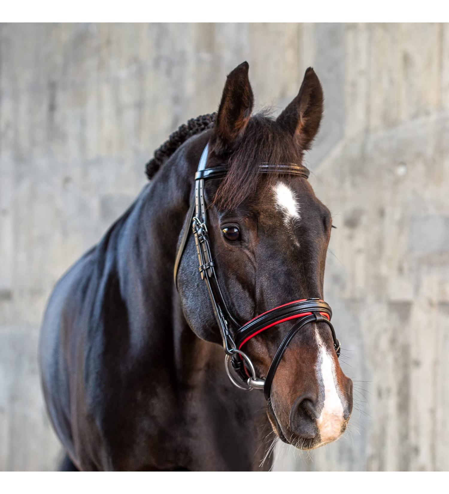 Sunride English Combined Bridle Hawaii - Soft Real Leather Adjustable & Anatomical with Reins (Full Size Black/Red) - Buy Online on SooperMarket.com
