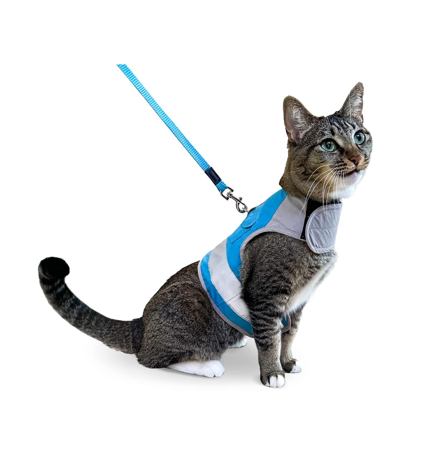 CAT SCHOOL Cat Harness and Leash Set for Outdoor Walks Training and Travel - Secure Soft Comfortable Cat Vest Harness with 10' Long Cat Leash - Easy to Use with Step-by-Step Instructions S/M - Buy Online on SooperMarket.com