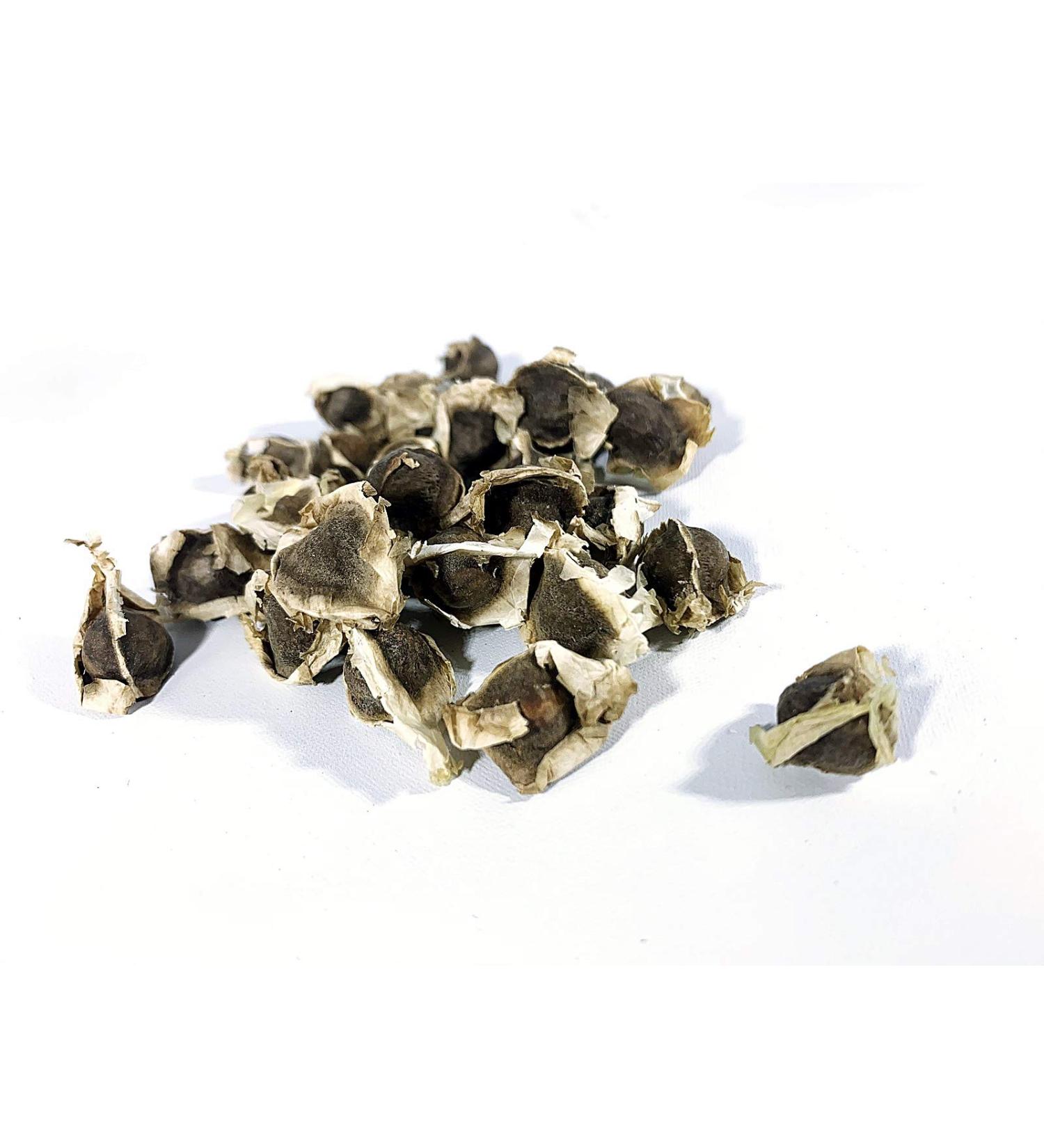 Organic Moringa Oleifera Seeds (Semillas de Moringa) / WT: 57 GR 170 GR 340 GR 510 GR 822 GR (510 GR) - Buy Online on SooperMarket.com
