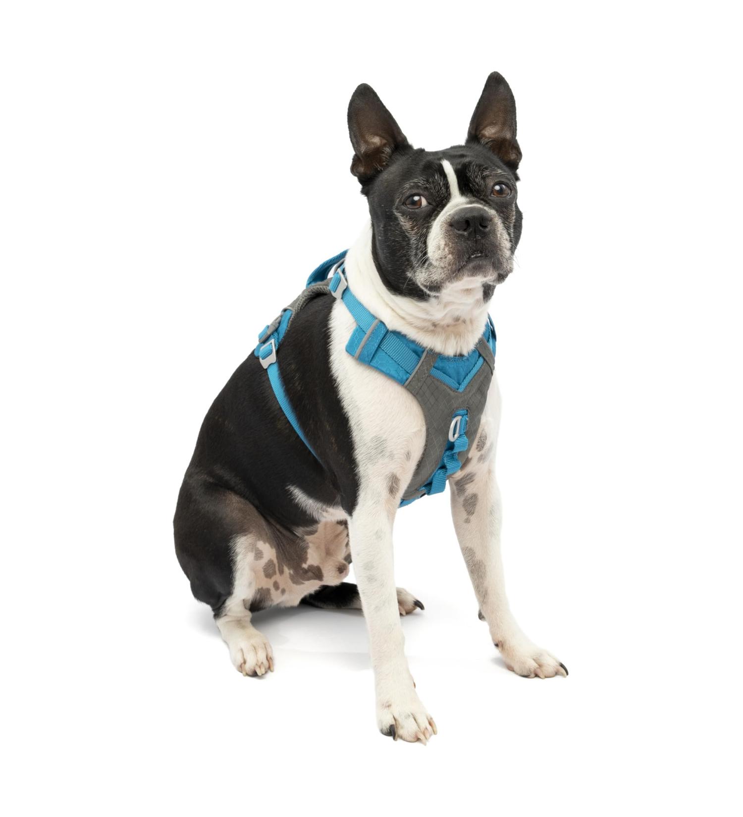Kurgo Journey Air Dog Harness - Padded Chest & Back Handle for Dogs 2-5 kg XS Size - Blue/Gray - Buy Online on SooperMarket.com