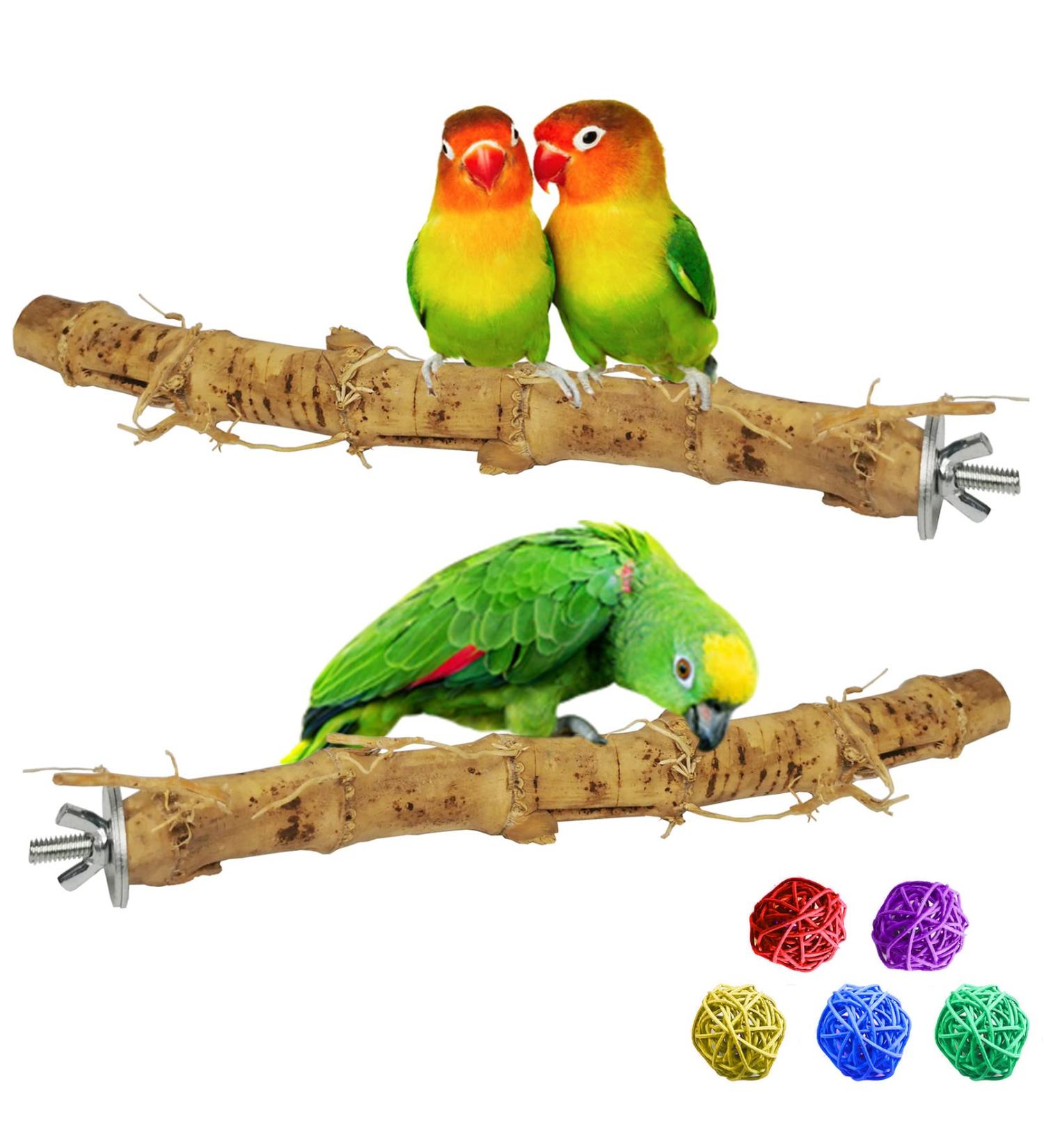 Natural Bamboo Bird Perch Stand Set for Budgies, Lovebirds, and Medium Parrots - 2PCS - Buy Online on SooperMarket.com