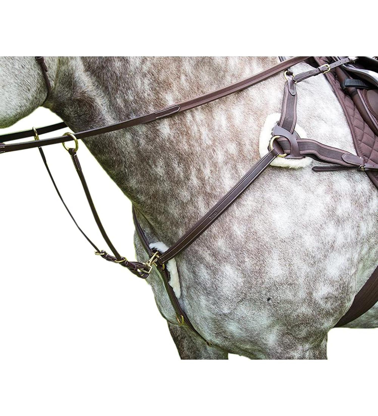 Shires Salisbury Five Point Breastplate Havana Extra Full