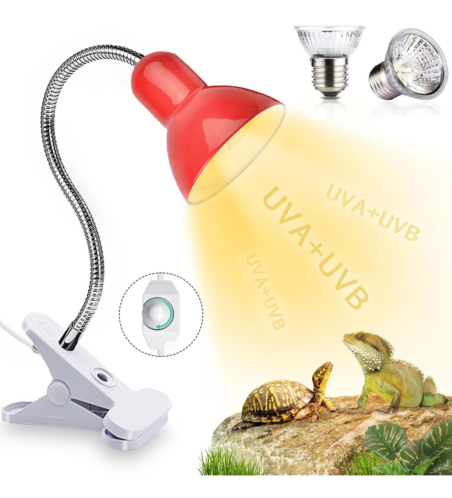 Shengruili Turtle Heat Lamp | 25W & 50W Reptile Lamp for Terrariums - Perfect Heat Solution for Turtles - Buy Online on SooperMarket.com