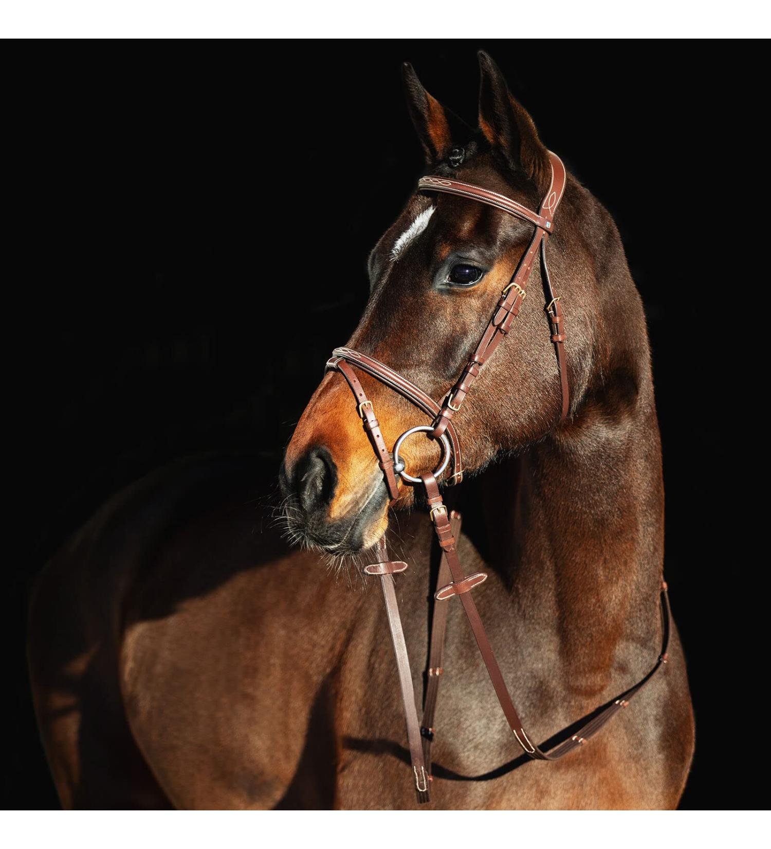 Horze Constance Padded Fancy Stitch Bridle w/Reins - Tan Horse - Buy Online on SooperMarket.com