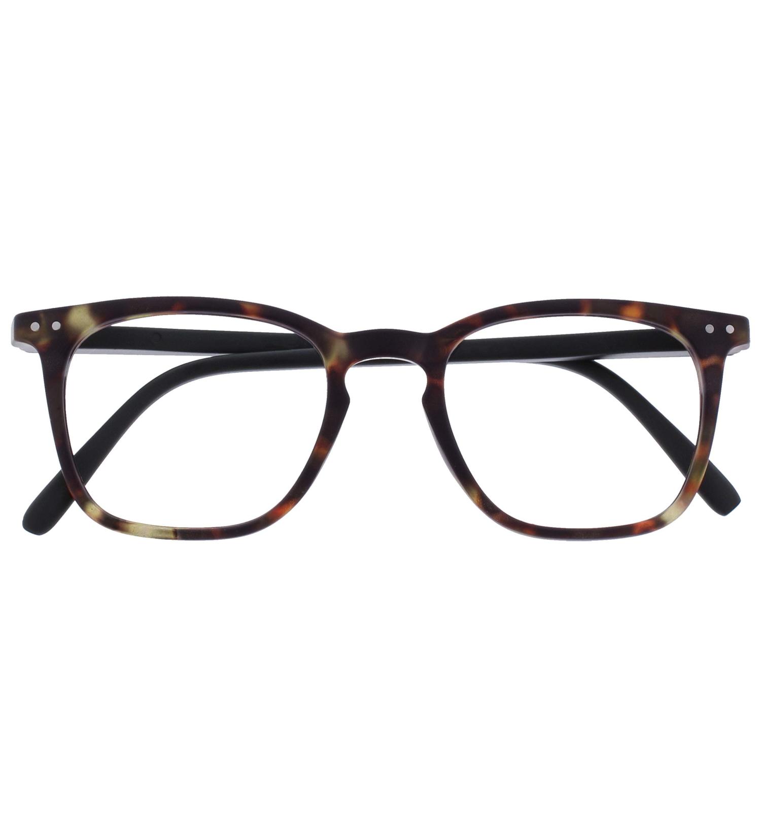 Opulize Bex Fern Large Glasses - Designer Brown Tortoise Frames Scratch-Resistant Men's -2.50 Diopters | International Shipping Available - Buy Online on SooperMarket.com