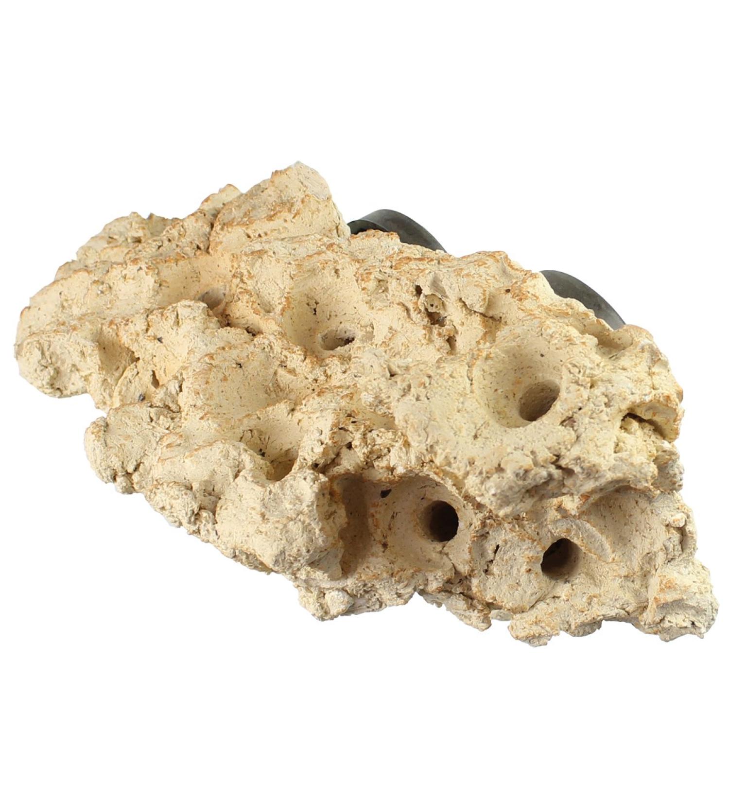 Buy Tunze Coral Rack Long (1 Piece) 0104.820 - Premium Coral Frag Rack for Aquariums | International Shipping Available - Buy Online on SooperMarket.com