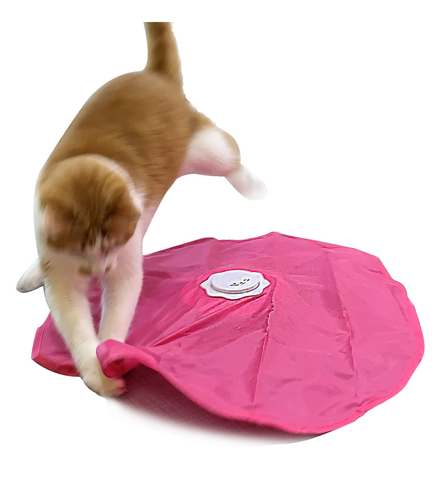 Blackhole Catch The Tail Cat Toy Interactive Play-Catch Electric Rotating Feather Motion Automatic Best Undercover Mouse Under Blanket Cat Toy - Buy Online on SooperMarket.com