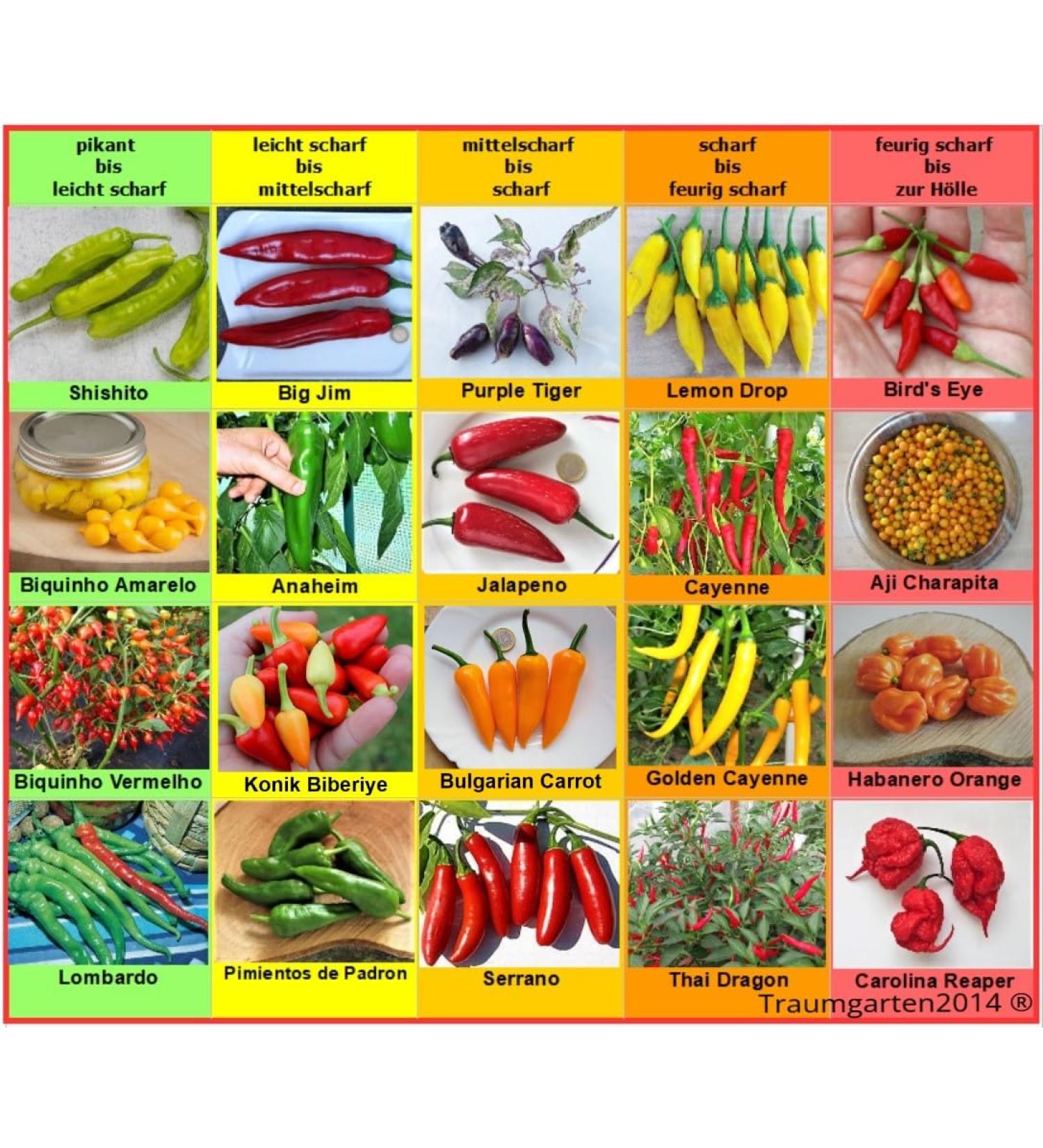 Chili Set: 20 Unique Varieties of Hot & Spicy Pepper Seeds - Worldwide Shipping - Buy Online on SooperMarket.com