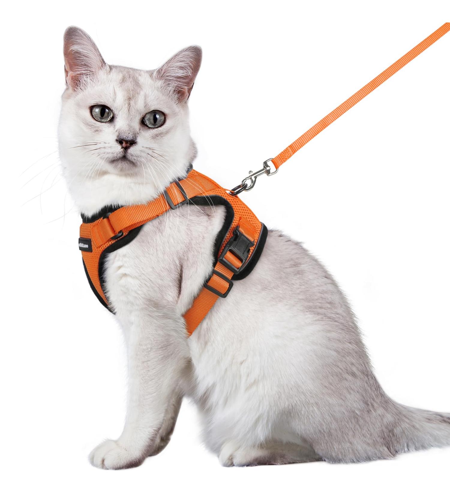Rabbitgoo Cat Dishes & Adjustable Breakage-Proof Cat Harness Set - Orange M (1 Pack) for International Shipping - Buy Online on SooperMarket.com