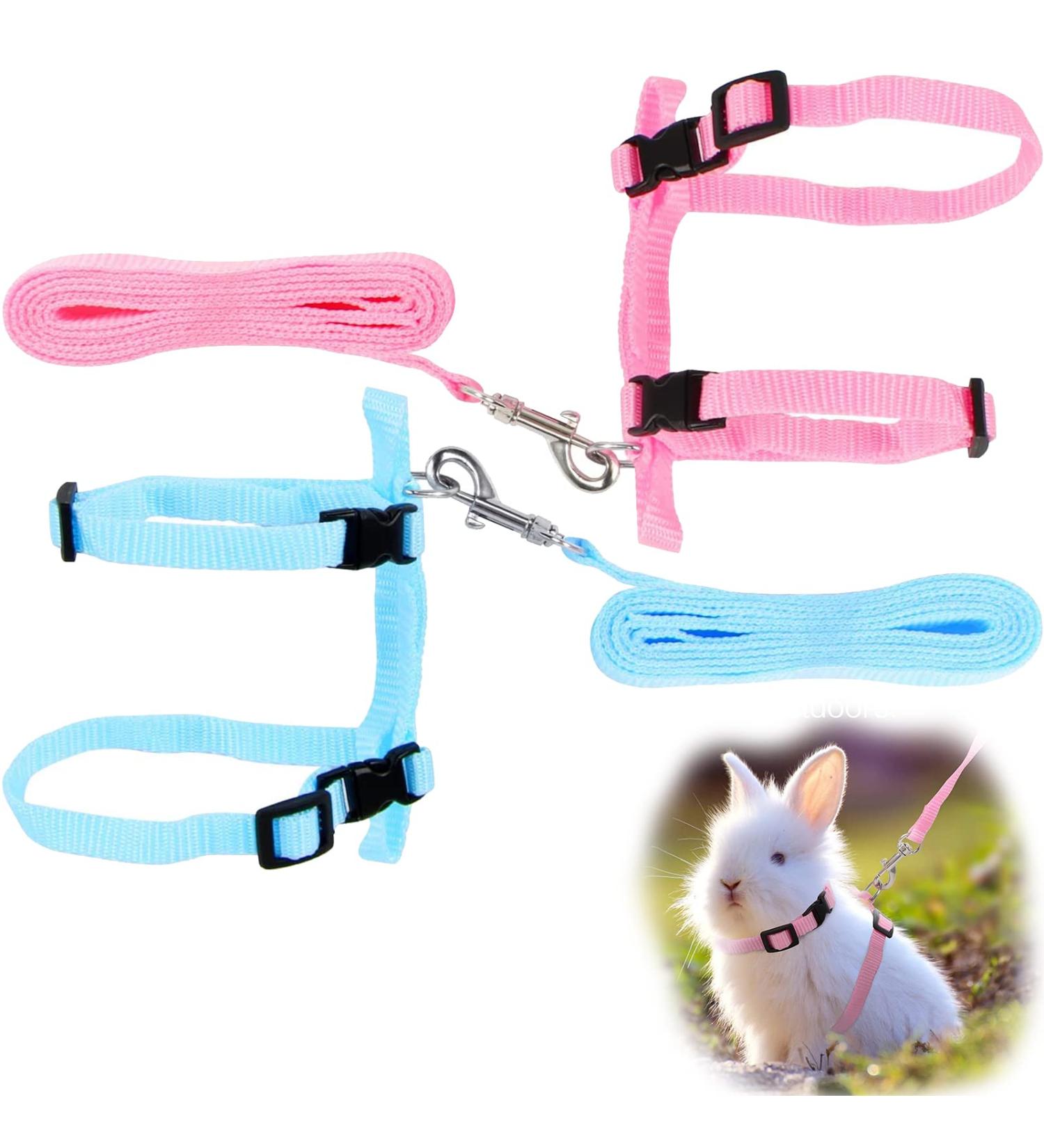 Adjustable Rabbit & Pet Harness Set - Blue & Pink Leash for Dogs Kittens Rabbits & Guinea Pigs | International Shipping - Buy Online on SooperMarket.com