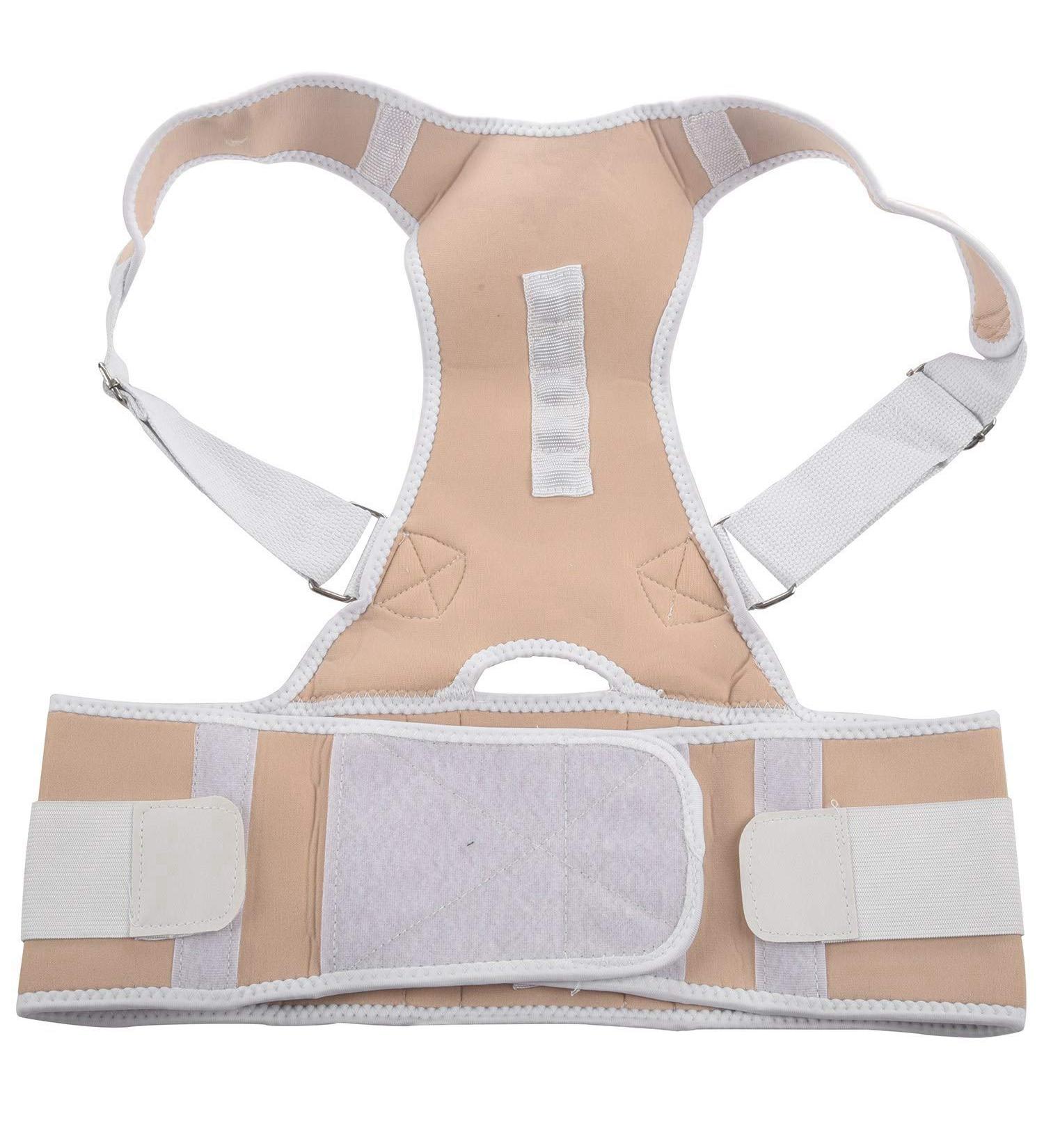 Jalzdieod Orthopedic Back Support Magnetic Posture Corrector-L 243224A2 - Buy Online on SooperMarket.com
