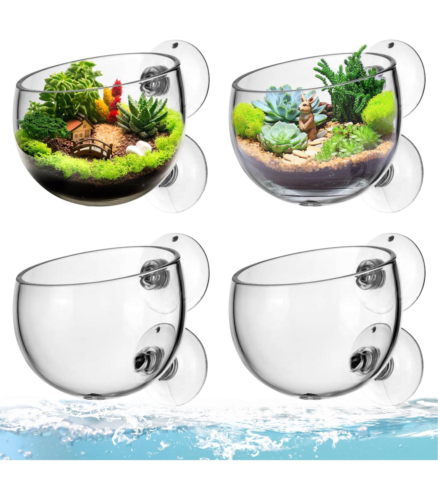 Delamiya 4-Piece Aquarium Plant Pots - Decorative Crystal Glass & Suction Cups for Lively Aquatic Displays - Buy Online on SooperMarket.com