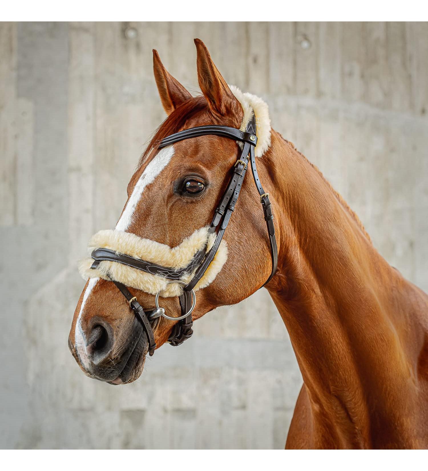 Buy SUNRIDE Swedish Bridle Oxford with Reins - Soft Genuine Leather & Fur Adjustable Anatomical Design (Cob Brown) for International Shipping - Buy Online on SooperMarket.com