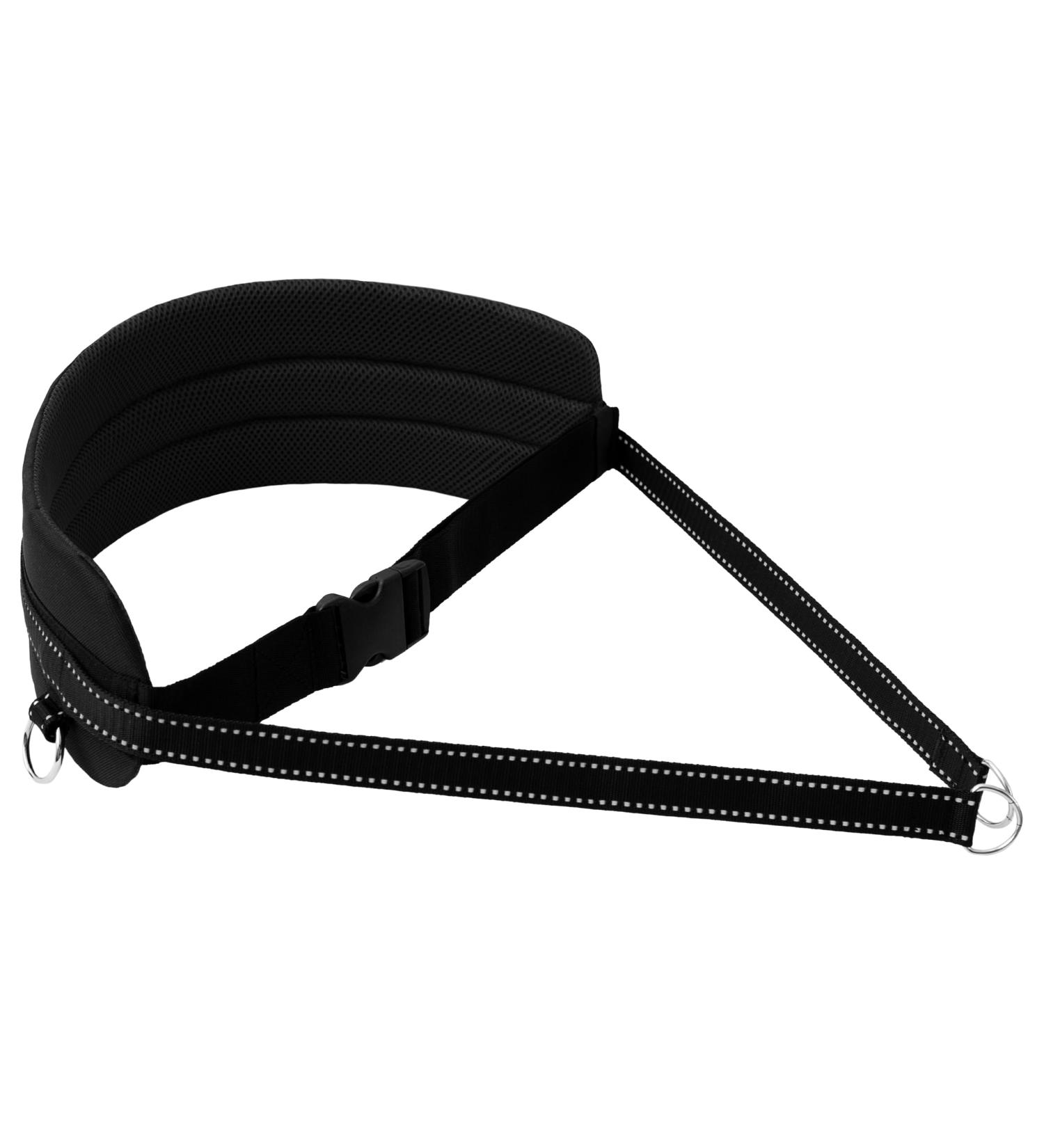 LASALINE Belly Belt for Dog Leash - Perfect for Canicross Dogtrekking & Ski-J ring | Ideal Dog Sports Gear in Black - Buy Online on SooperMarket.com