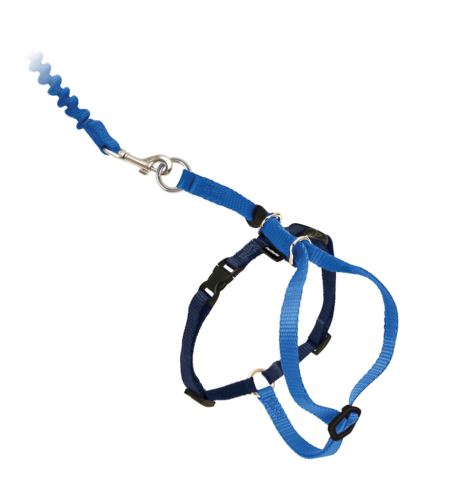 PetSafe Come With Me Kitty Harness & Bungee Leash - Large Royal Blue/Navy | Best Cat Harness for International Shipping - Buy Online on SooperMarket.com