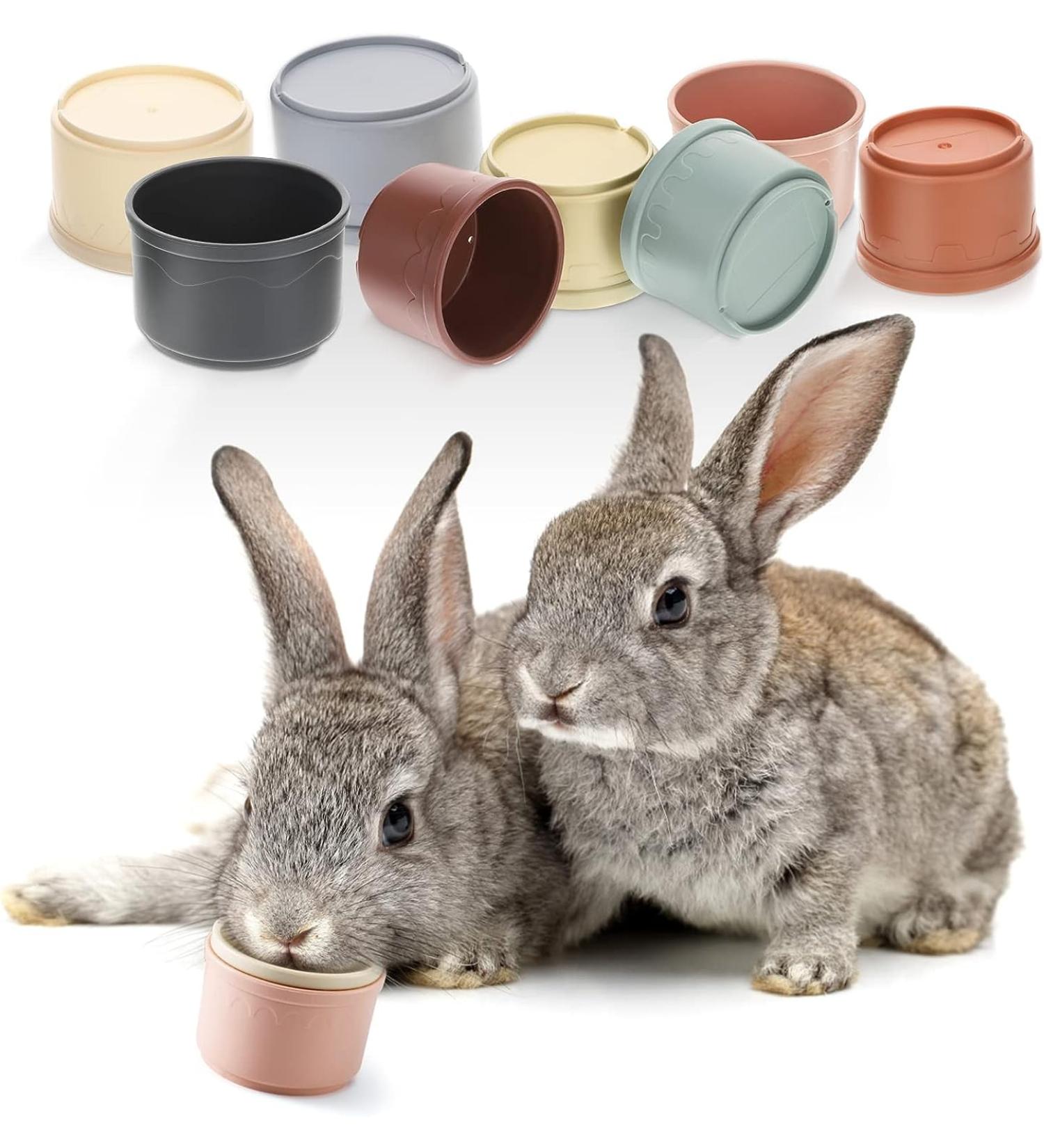 Stacking Cups for Rabbits-BPA-Free Safe Plastic Stacking Toys Rabbit Toys Bunny Toys for Hiding Food and Playtime Fun(8 Pack) - Buy Online on SooperMarket.com