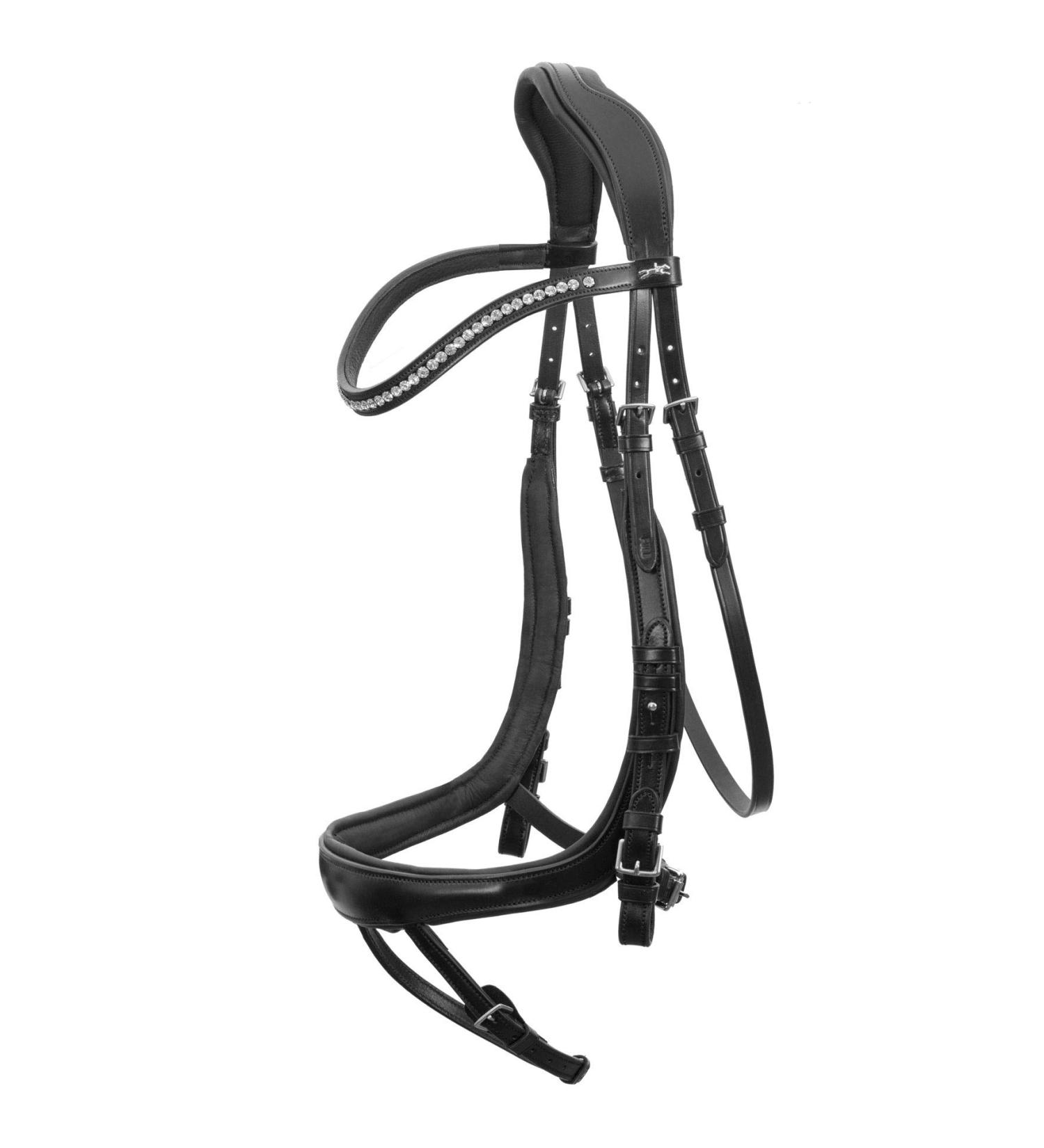 Schockem hle EQUITUS BETA Anatomical Special Bridle - Black Silver VB | Premium Equestrian Gear for International Shipping - Buy Online on SooperMarket.com
