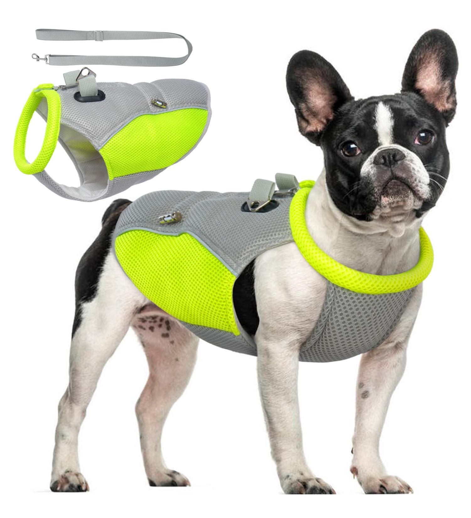 Hjyokuso Cool Vest for Dogs | Summer Cooling Jacket for Small Medium & Large Dogs | Ideal for Outdoor Activities & Training - Buy Online on SooperMarket.com
