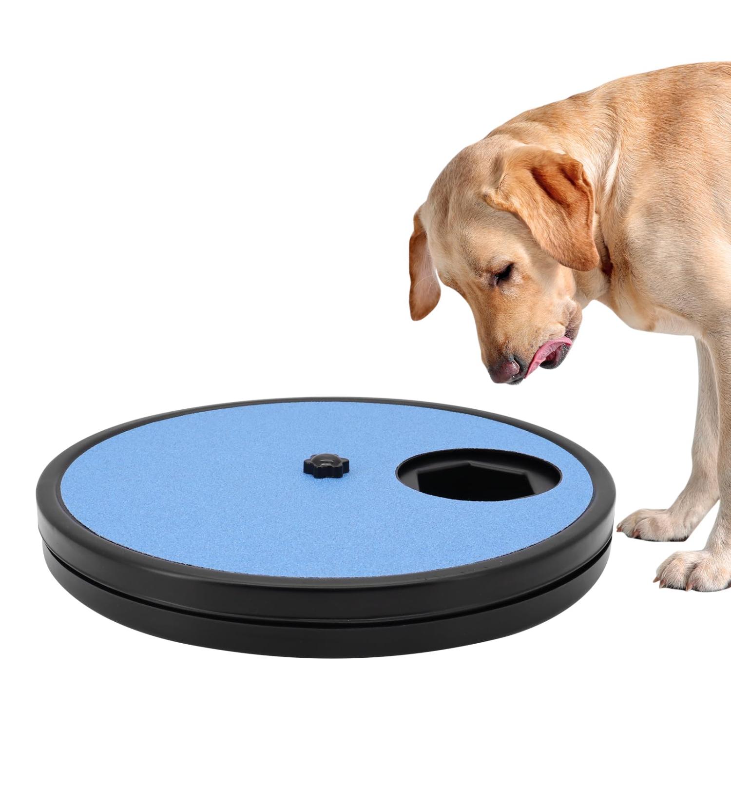 Beowanzk Multifunctional Dog Nail Scratchboard with 6-Compartment Food Storage - Blue - Buy Online on SooperMarket.com