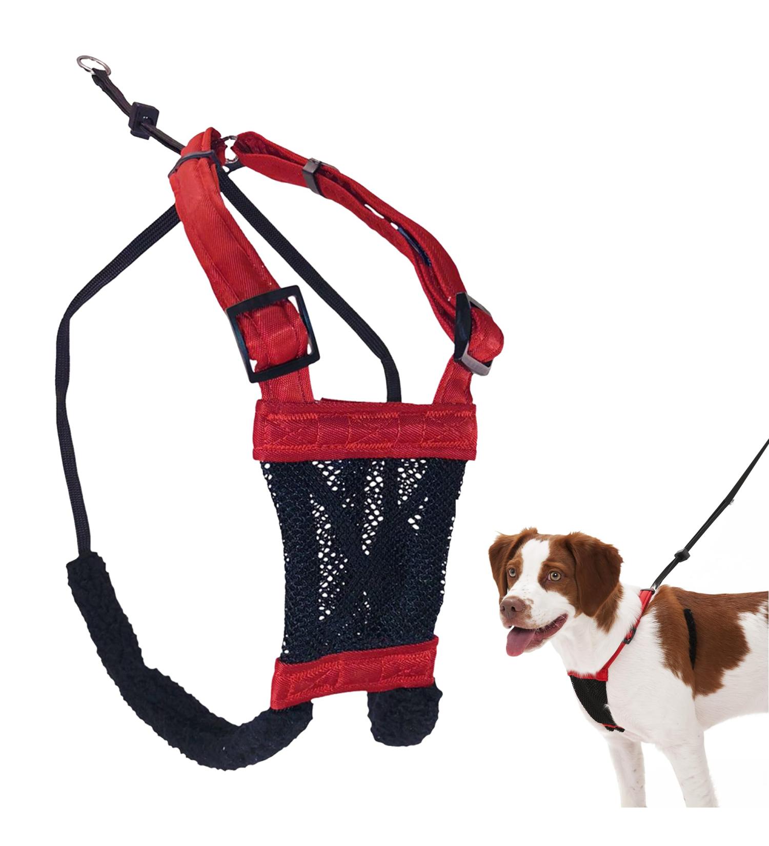 Dog Harness - No pull and No choke humane Design Non Pulling Pet Harness with Mesh vest Easy Step-in Adjustable Mesh Harness for control Red Medium by Sporn Medium Red - Buy Online on SooperMarket.com