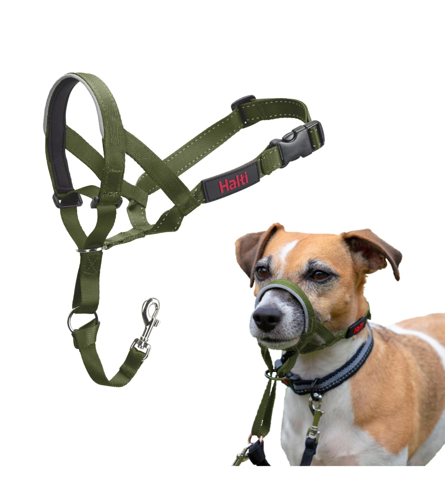 Halti Head Harness for Small Dogs - Prevent Pulling Light & Adjustable Padded Nose Strap Anti-Train Neck Band - Forest Green (Size 1) - Buy Online on SooperMarket.com
