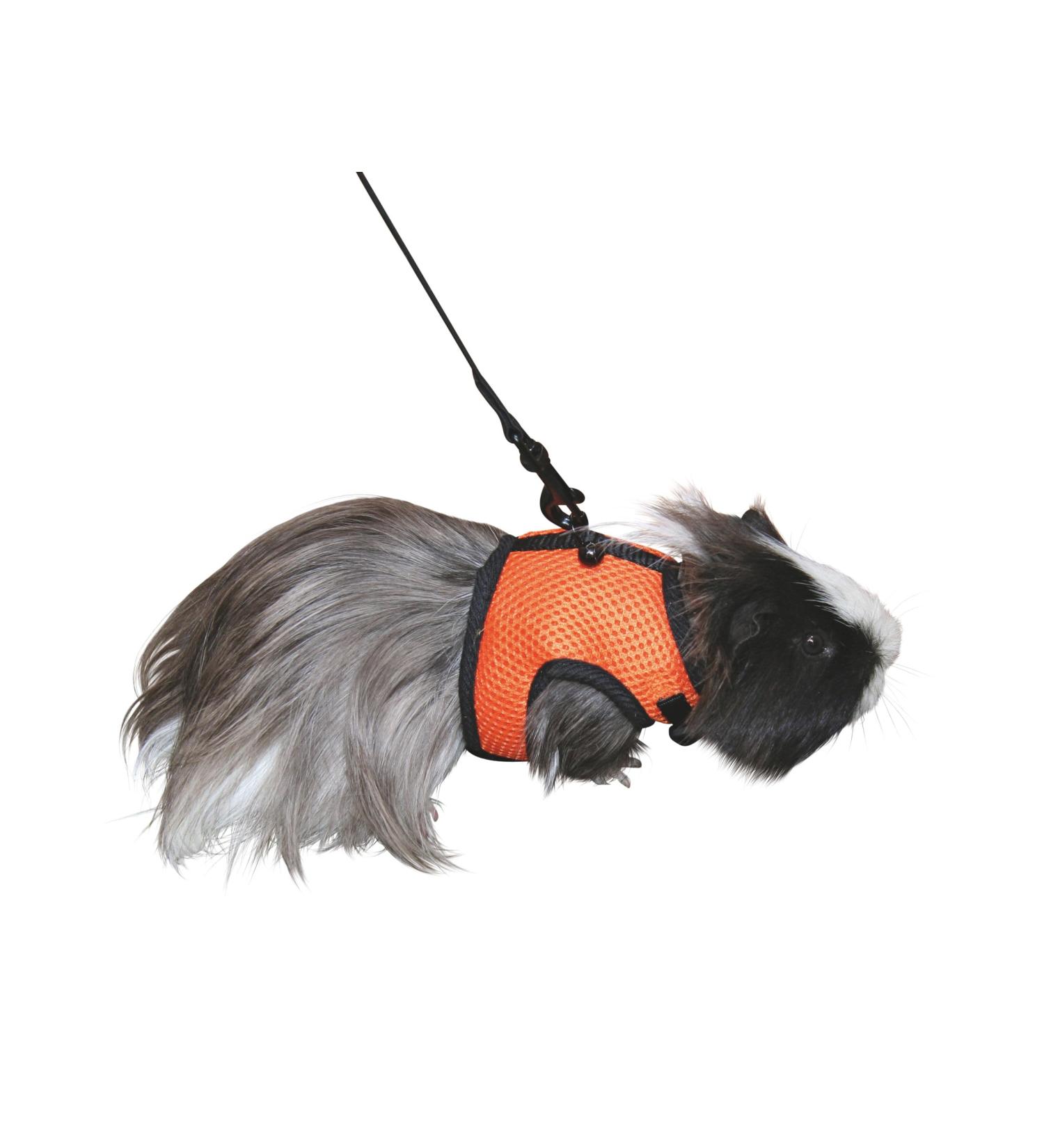 Shop Kerbl Rabbit Harness with Flexible Leash - Adjustable 22-26 cm Neck & 33-43 cm Belly | International Shipping Available - Buy Online on SooperMarket.com