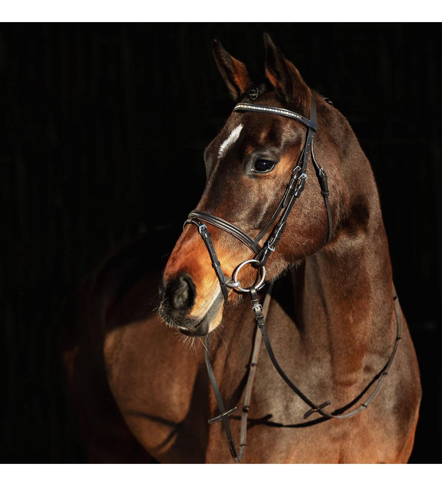 HORZE Weston Padded Leather Horse Bridle with Flash Noseband & Web Reins - Brown | Snaffle Bridle - Buy Online on SooperMarket.com