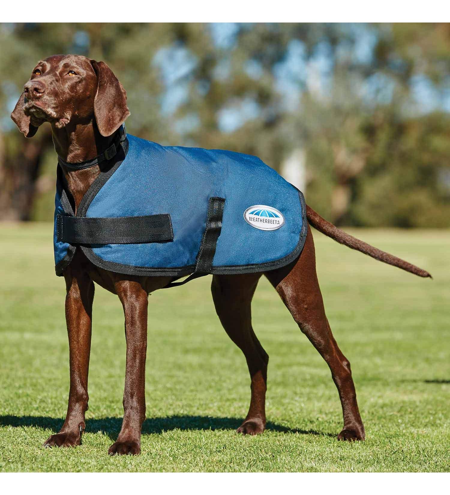 WeatherBeeta ComFiTec Classic Dog Coat Dark Blue 60cm 60cm Dark Blue