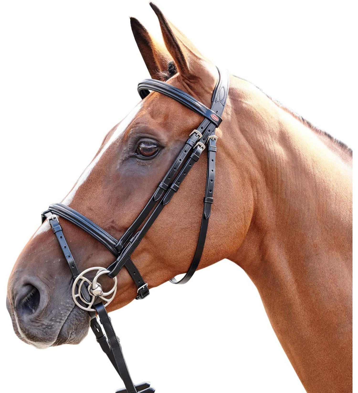 John Whitaker Barton Bridle - Raised Flash Havana Pony | Premium Equestrian Gear for International Shipping - Buy Online on SooperMarket.com