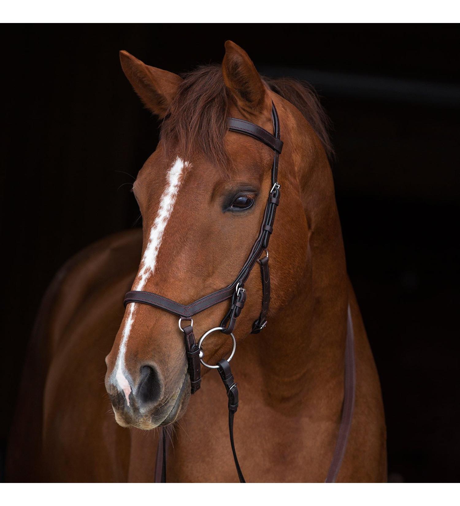 Ireland Rambo Micklem Competition Bridle Dark Havana Large Horse