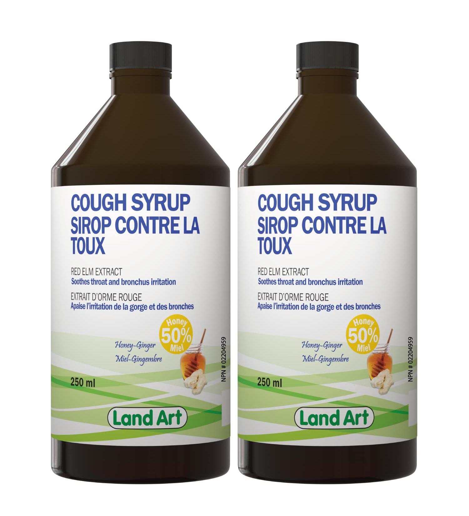 Natural Cough Syrup For Kids and Adults Cough Relief Immune System Throat and Bronchial Irritation Relief From Red Elm Extract Honey Ginger 250 ml (Pack of 2) - Buy Online on SooperMarket.com