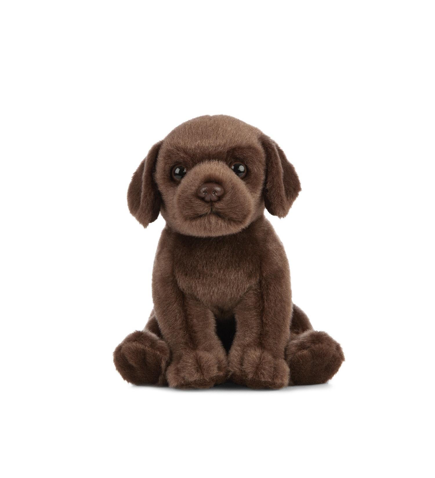 Living Nature Chocolate Labrador Puppy Soft Toy - 16cm - Buy Online on SooperMarket.com
