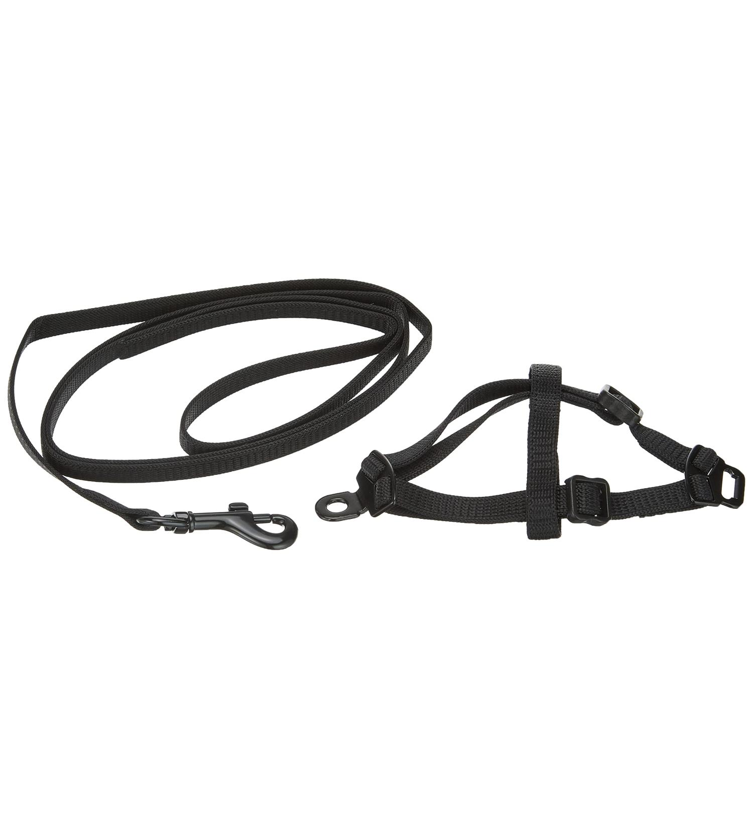 Nobby Nylon Ferret/Rat Set - Durable & Stylish Black Pet Accessories for Your Furry Friends - International Shipping Available - Buy Online on SooperMarket.com