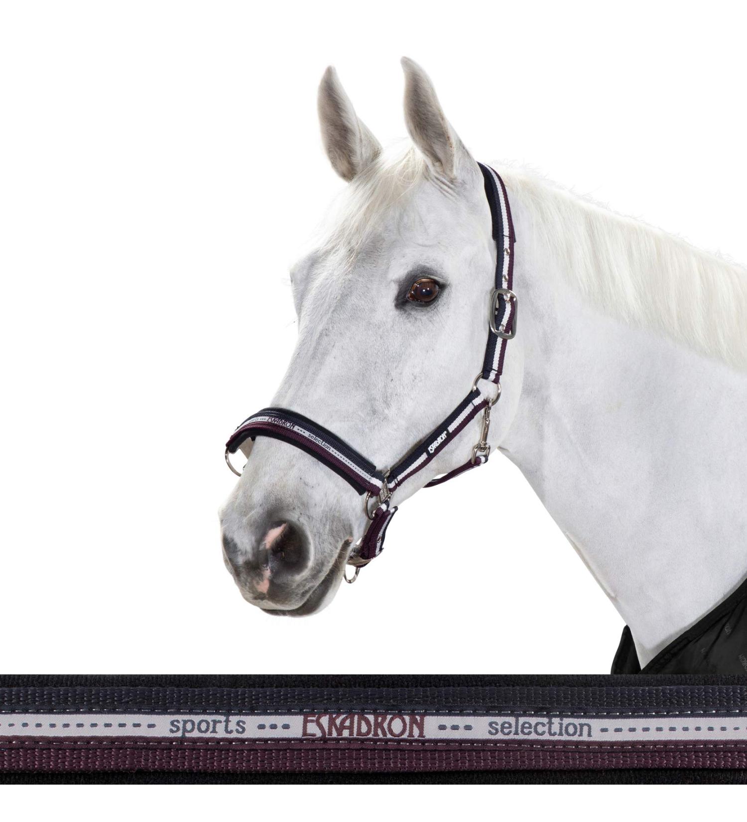 Eskadron Standard Halter PIN Buckle striped Thoroughbred
