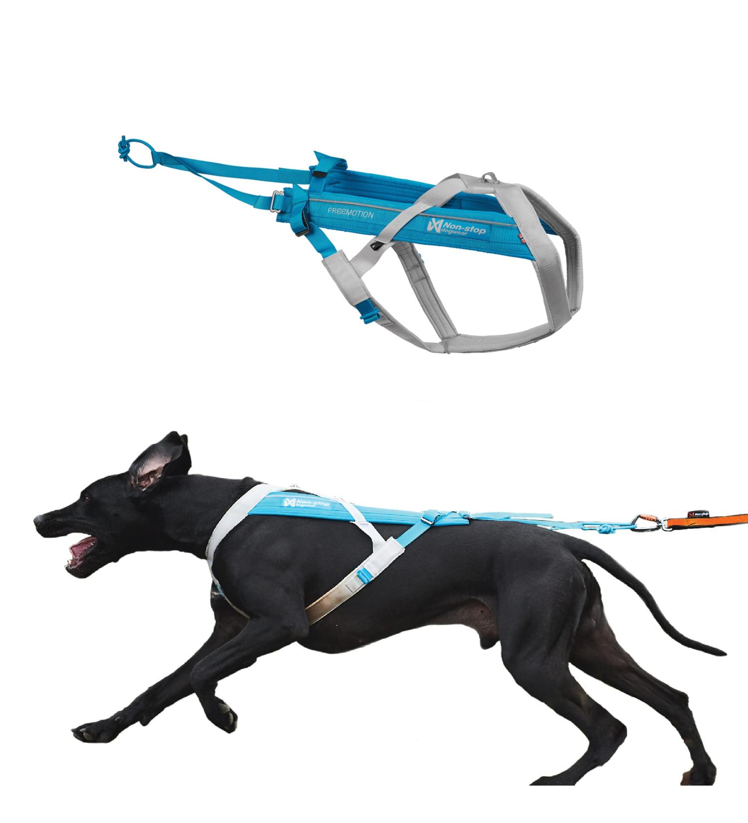Non-stop dogwear FREEMOTION Harness 5.0 | Blue/Grey | Ultimate Dog Harness for All Sports | Size 7 - Buy Online on SooperMarket.com