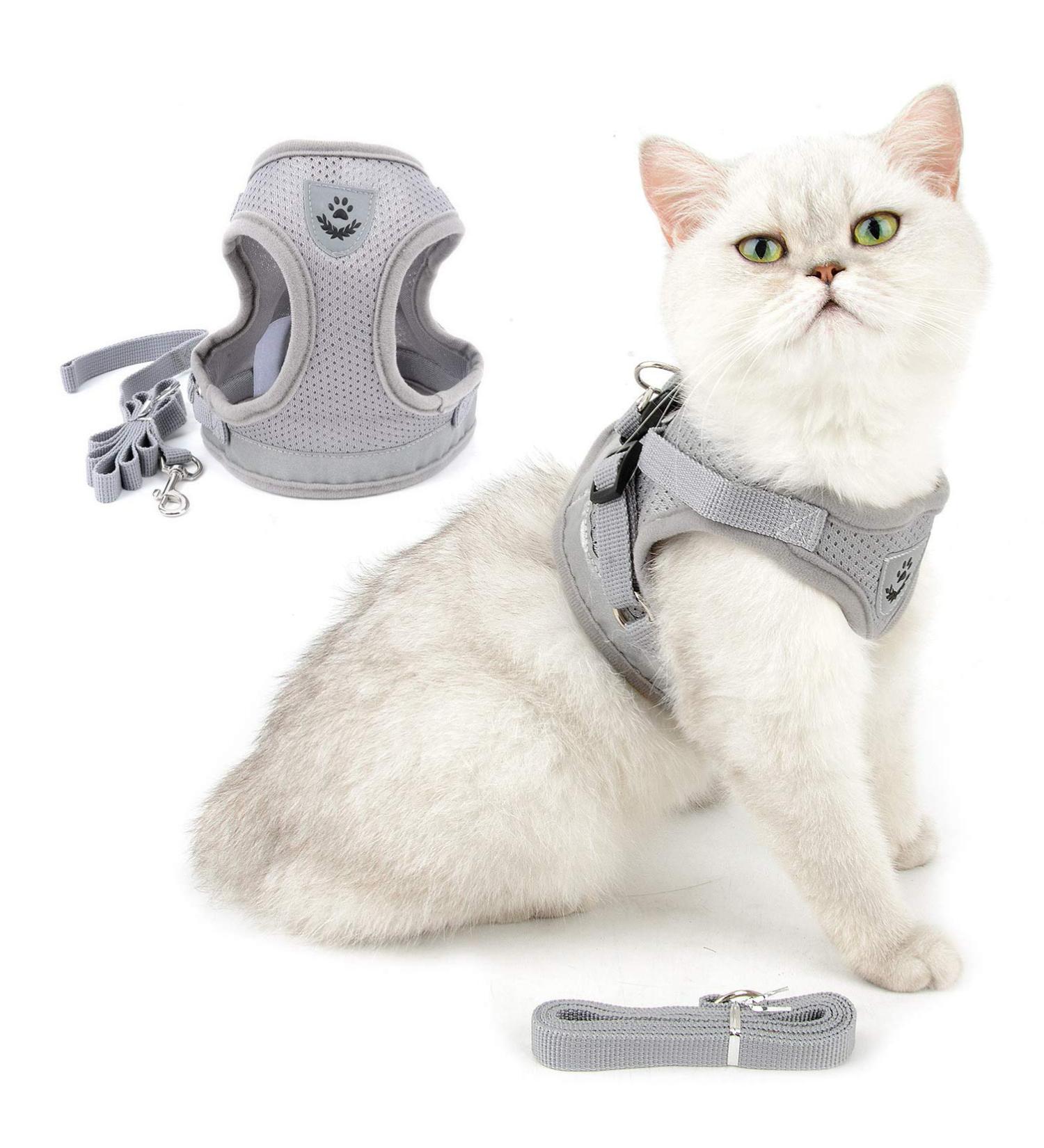 Ranphy Cat Dishes & Leash - Break-Proof Reflective Padding Chest Harness for Small & Adult Cats Soft Fabric - Perfect for Puppies | Gray - Buy Online on SooperMarket.com
