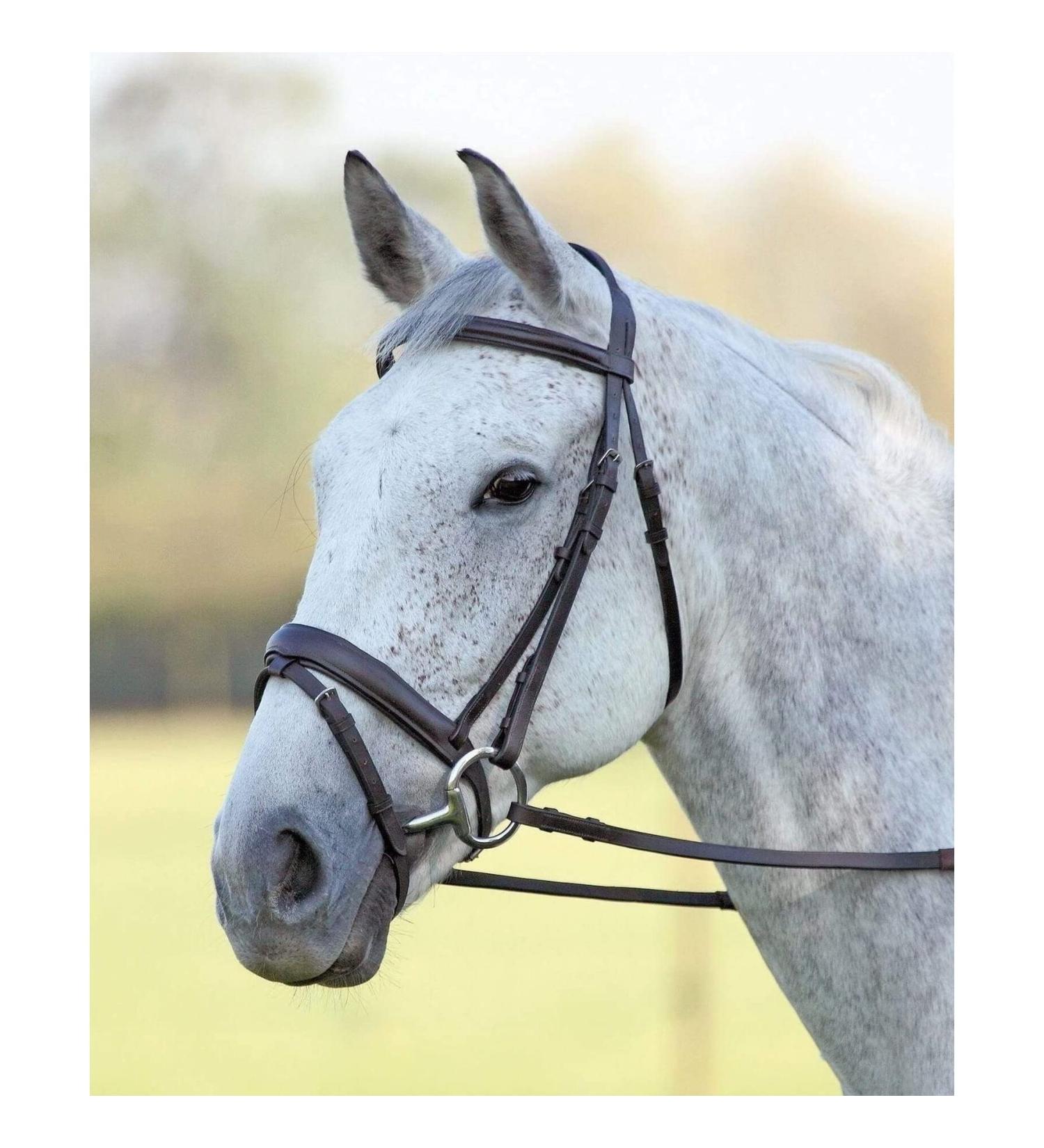Shires Aviemore Comfort Fit Bridle - Black Pony - Buy Online on SooperMarket.com