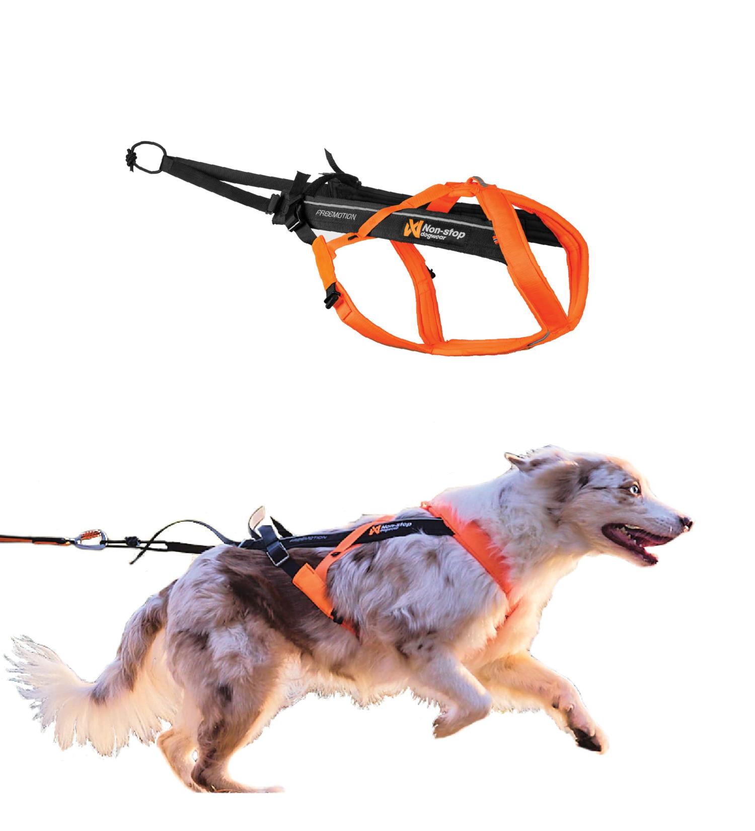 Non-Stop Dogwear Freemotion Harness 5.0 - Black/Orange | Best International Shipping for Active Dogs - Buy Online on SooperMarket.com