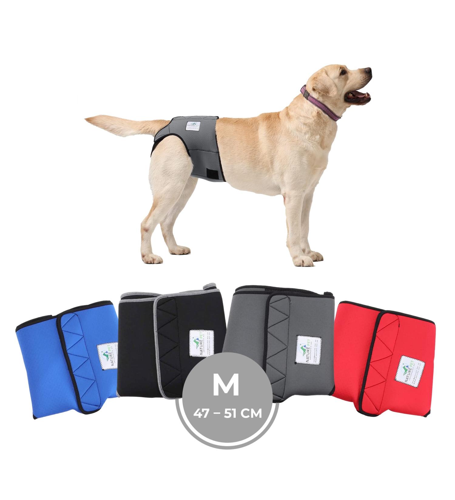 Nature PET Dog Diaper Pants for Female Dogs - Gray M - Incontinence Solution without Annoying Threading - Buy Online on SooperMarket.com
