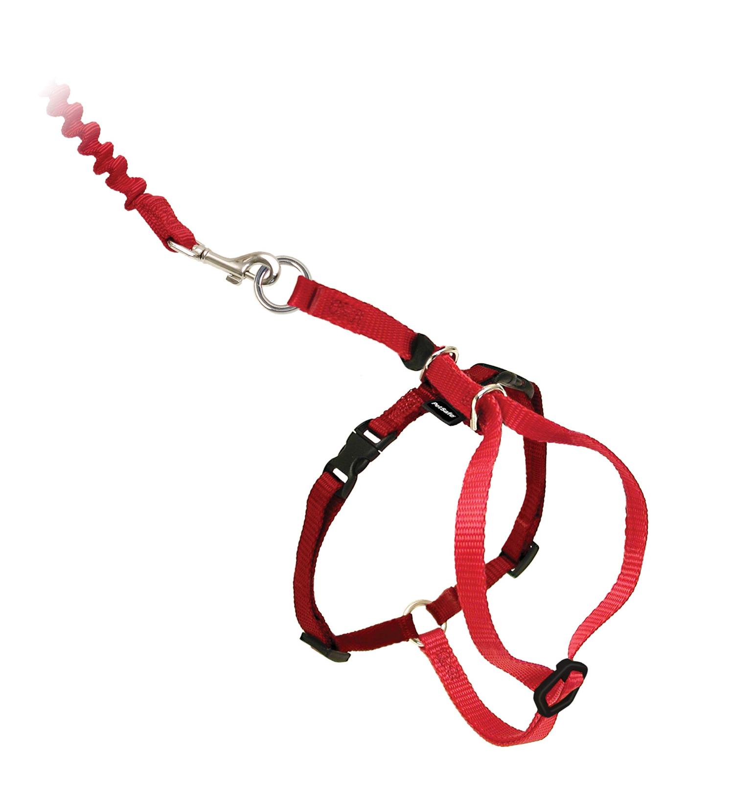 Buy PetSafe Come with Me Kitty Harness & Bungee Leash for Cats - Small Red/Cranberry | International Shipping Available - Buy Online on SooperMarket.com