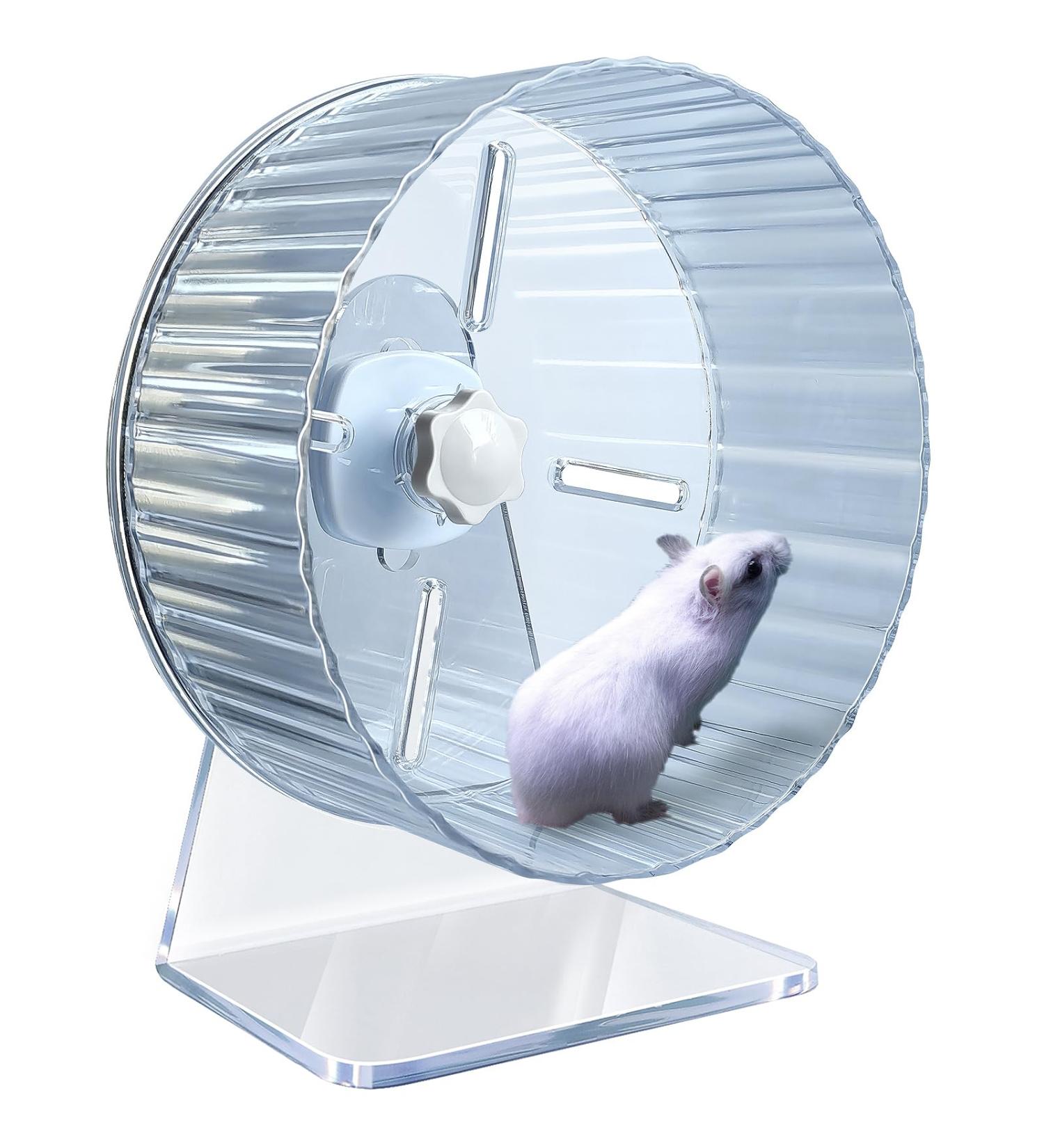 Hamster Wheel Silent Hamster Wheel Quiet Hamster Wheel Hamster Exercise Wheel Adjustable Stand Silent Hamster Wheel for Hamsters Gerbils Mice Small Animals ( 6.7 inch Transparent) 6.7 inch Transparent - Buy Online on SooperMarket.com