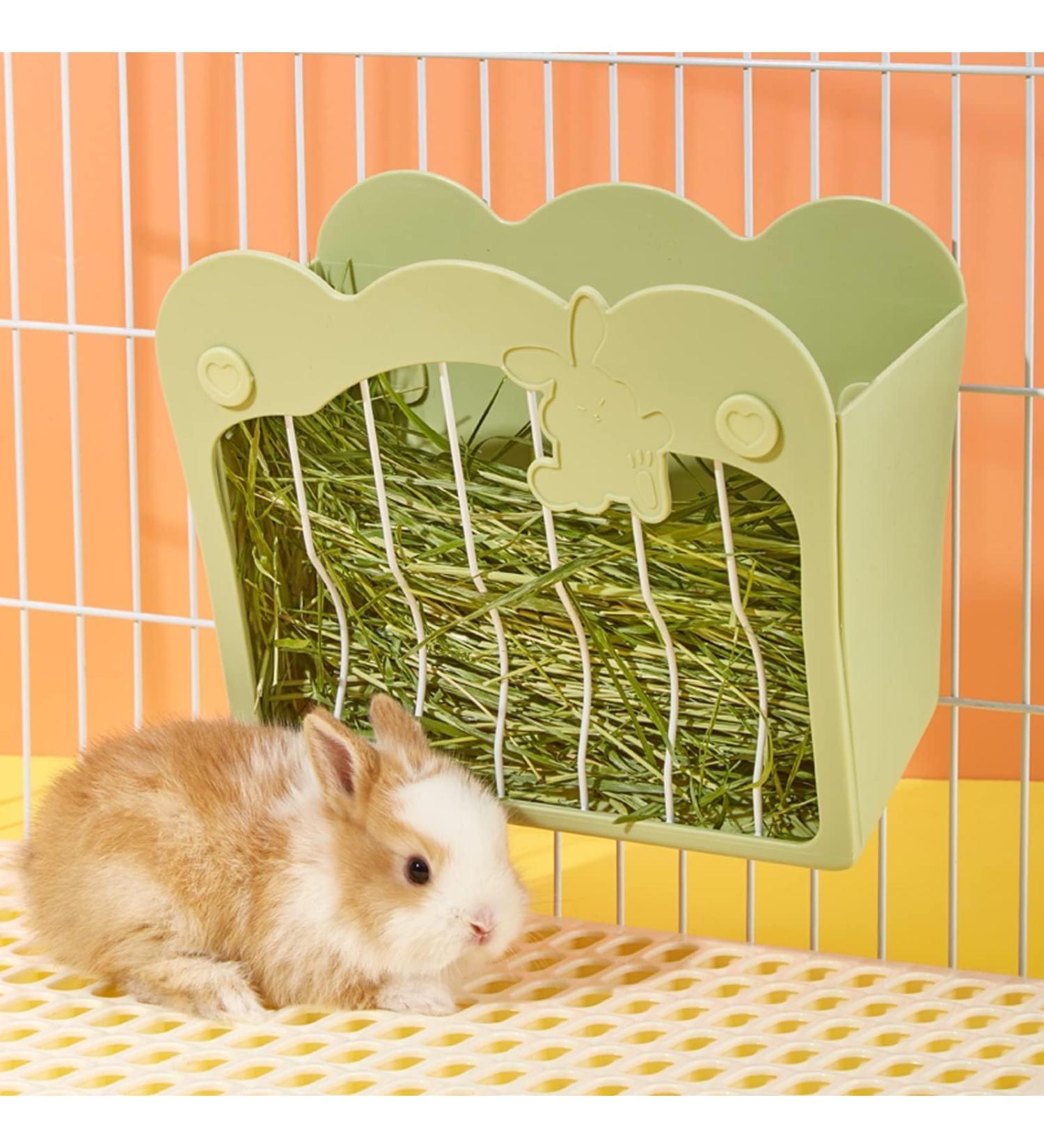 Hanging Rabbit Hay Feeder | Small Animal Hay Rack for Guinea Pigs and Dwarf Rabbits (Green) - Buy Online on SooperMarket.com