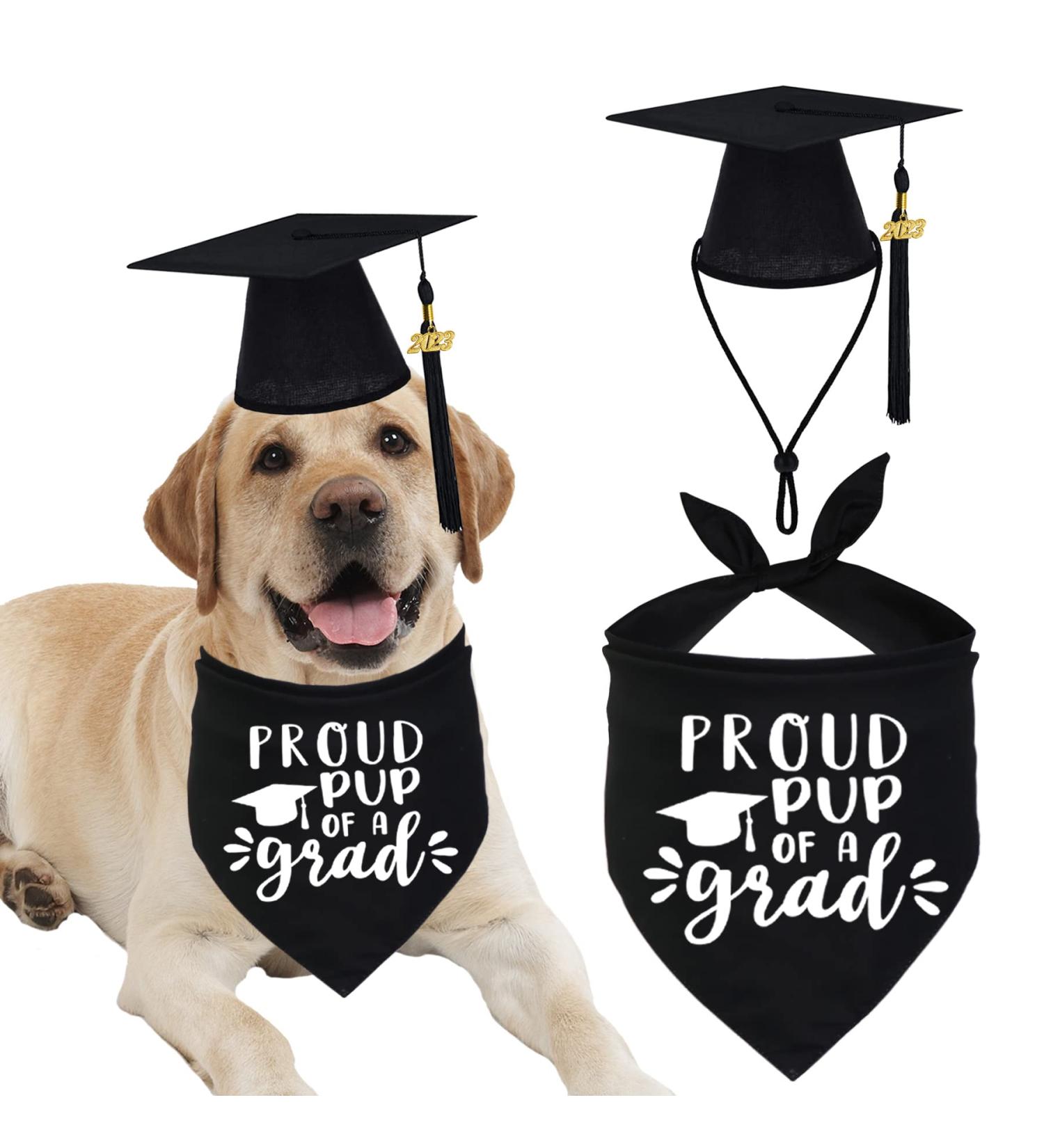 Dog Graduation Cap & Bandana Set - 2023 Black Tassel Graduation Outfit for Proud Pup of A Grad - Buy Online on SooperMarket.com