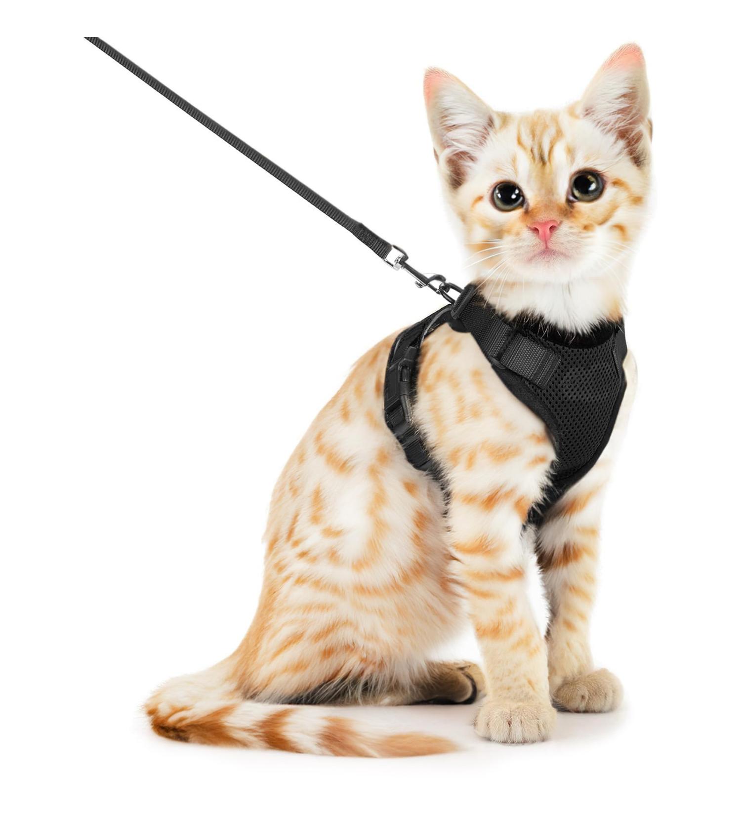 SOKANA Cat Harness and Lead Set for Walking Escape Proof - Lightweight Secure Kitten Harness and Lead Set also for Dogs Puppy Pet Small Size | Black - Buy Online on SooperMarket.com