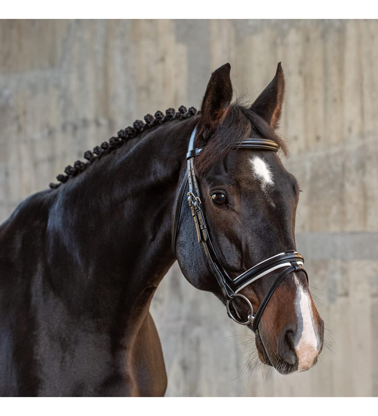 Shop Sunride English Combined Bridle Hawaii - Soft Real Leather Adjustable Anatomical Design Full Black/White - Ideal for Equestrian Enthusiasts | International Shipping Available - Buy Online on SooperMarket.com