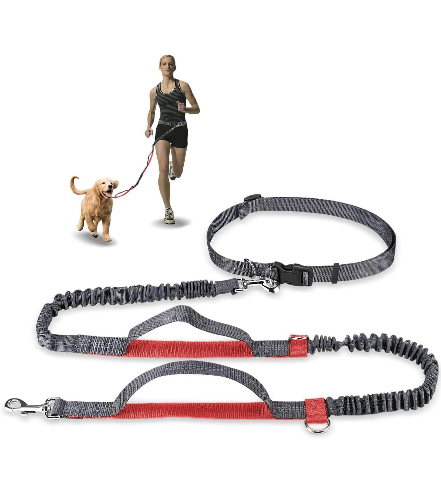 Achort Hands-Free Dog Leash & Waist Belt with Bungee - Reflective Adjustable for Dogs Up to 110 kg - Perfect for Running & Jogging (Red) - Buy Online on SooperMarket.com