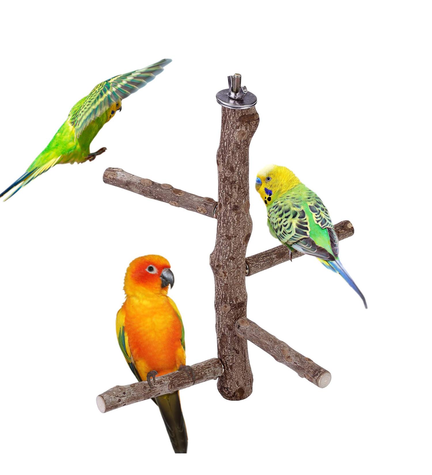Mogoko Natural Wood Bird Perch Stand - Hanging Multi Branch Perch for Parrots, Parakeets, Cockatiels, Conures, Macaws, Love Birds, Finches - Style 1 - Buy Online on SooperMarket.com