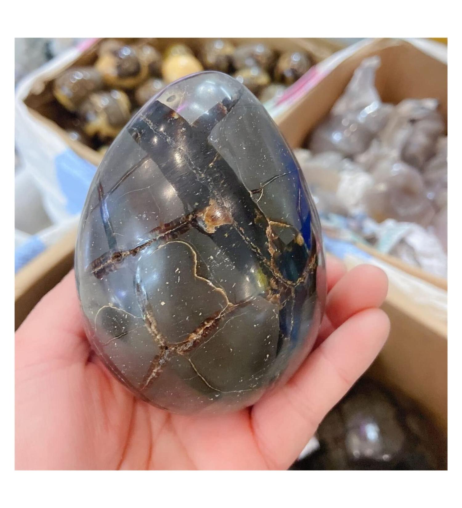 Crystal 1pcs 900-1.1kg Natural Curvature of The Furnishing Articles Turtle Grain s Ball Septarian Nodule Crystal Quartz - Buy Online on SooperMarket.com
