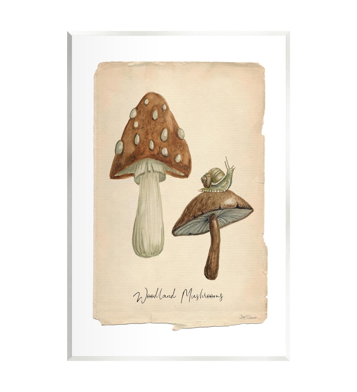 Stupell Industries Woodland Mushrooms & Snail Wall Plaque Art by Carol Robinson 10 x 15 - Buy Online on SooperMarket.com